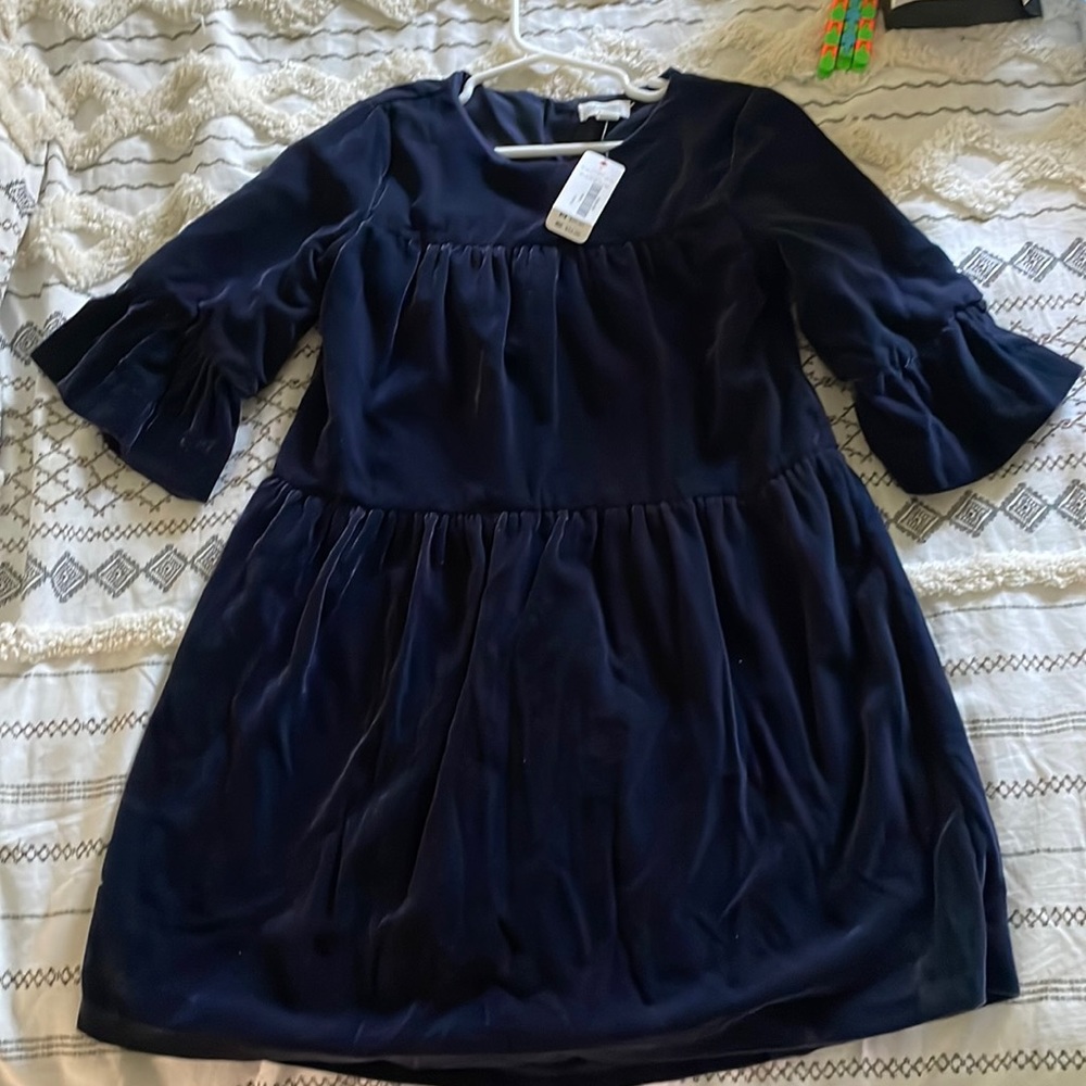Navy Velour Dress